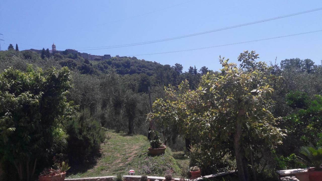 Il Colle Di Abramo Casa Vacanze Enrica Pietrasanta Eksteriør bilde