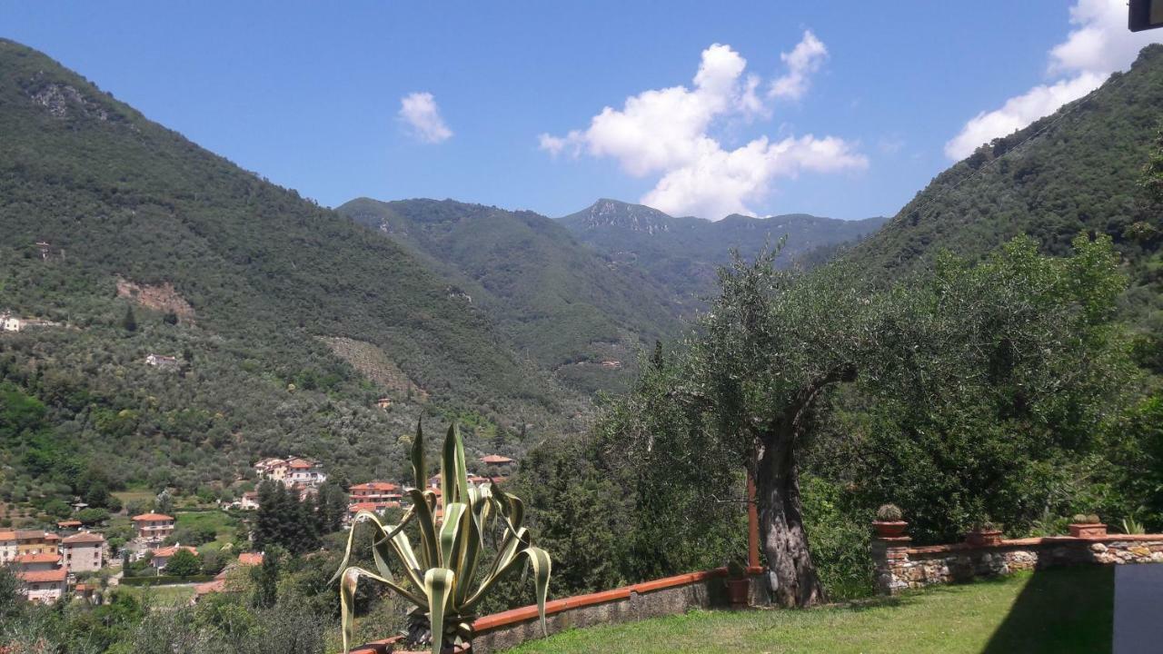 Il Colle Di Abramo Casa Vacanze Enrica Pietrasanta Eksteriør bilde